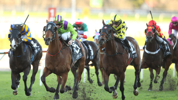 An eight-race card is scheduled for Tamworth on Friday.
