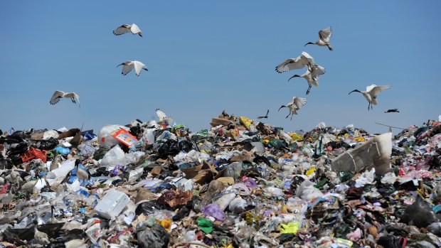 Plans to develop a 20-year waste management scheme for NSW have drawn critics saying targets must be set for a much shorter period.