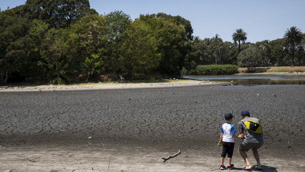 A father and son take photographs of the dry lake bed of Busby Ponds in Centennial Park in Sydney on Saturday.