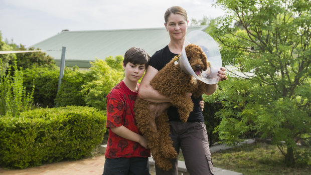 Georgia Richardson with her son Owen, 11, and dog Coco, which was attacked by an unaccompanied dog this week.