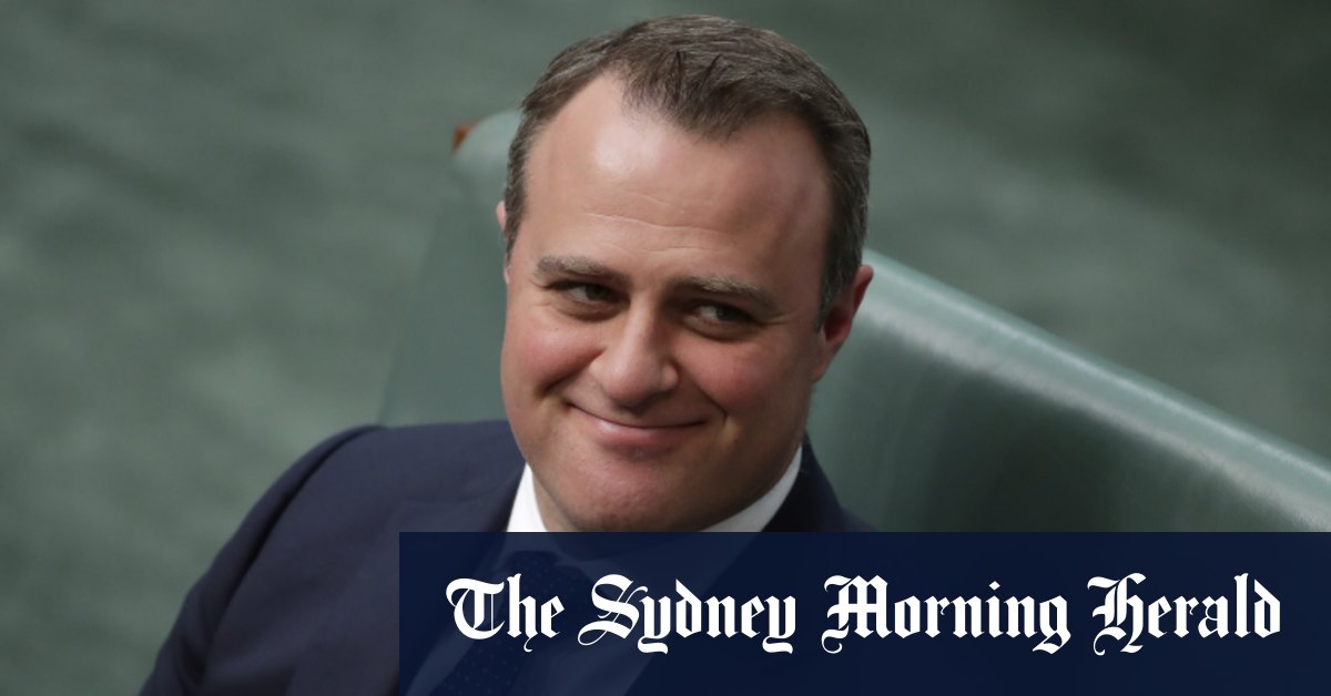 Liberals laud controversial letter as 'welcome pushback ...