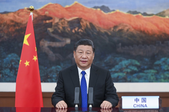 Chinese President Xi Jinping addresses the World Health Assembly by videolink on May 18. 