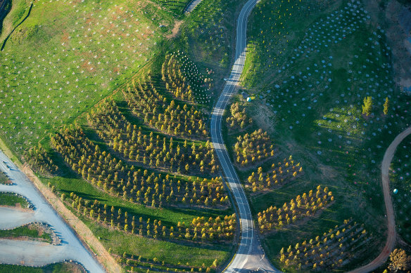 The National Arboretum in Canberra.