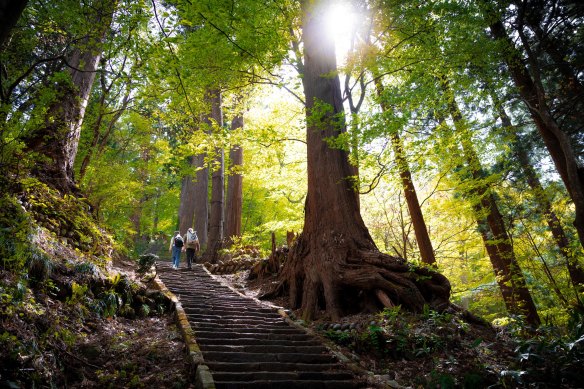 Hiking Mount Haguro in Japan with Ponant.