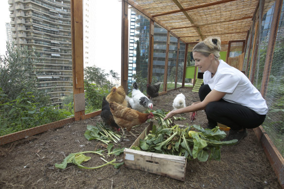 Urban farming in Monaco.