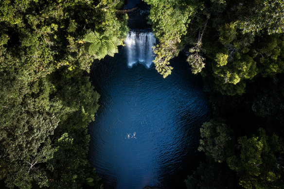 Millaa Millaa Falls.