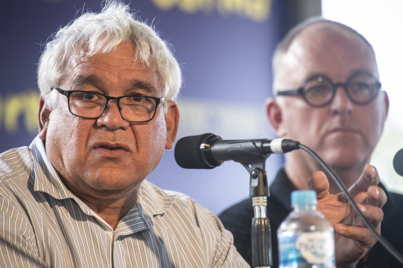 Indigenous leader Mick Gooda says he is terrified the Voice to parliament referendum will fail.