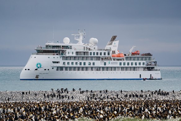 The Greg Mortimer – and the penguins – at Salisbury Plain in South Georgia.