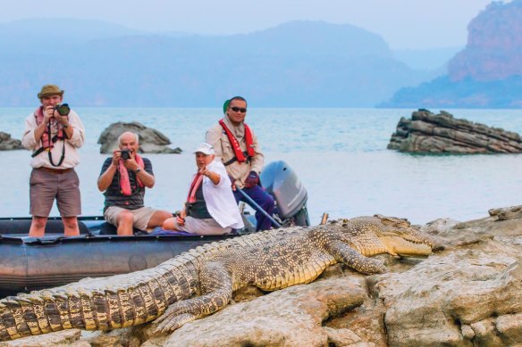 Have we drifted into the dinosaur age? Croc-spotting in Zodiacs.
