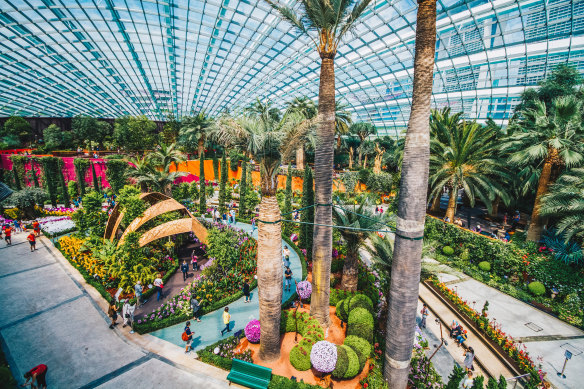 The spectacular Flower Dome is the world’s largest glasshouse.