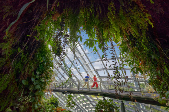 Exploring the Cloud Forest Dome.