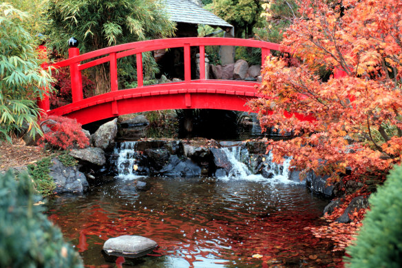 The Japanese garden and bridge at the Royal Botanical Tasmanian Gardens.