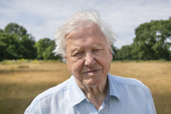 Sir David Attenborough adapted to challenging ways of working for his new series A Perfect Planet. 