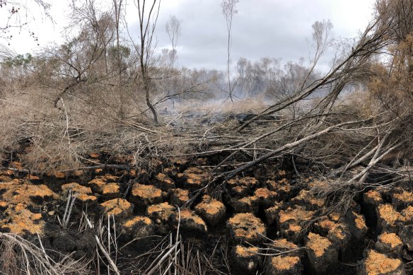 Peatlands smouldering near Denmark in southern WA. 