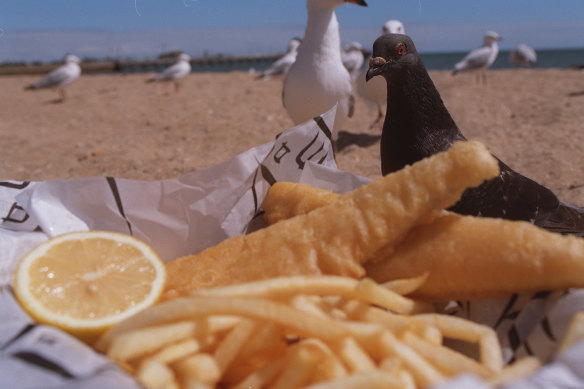 What could be better than fish and chips on the beach?