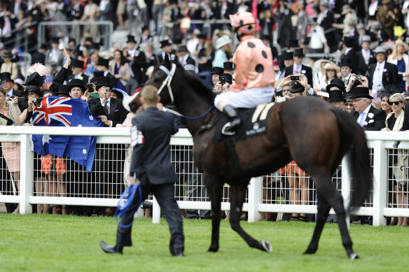 The Queen requested a private audience with Black Caviar when the unbeaten mare went to Royal Ascot in 2012. 