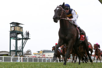 Night's Watch heads to the Cantala at Flemington on Saturday.