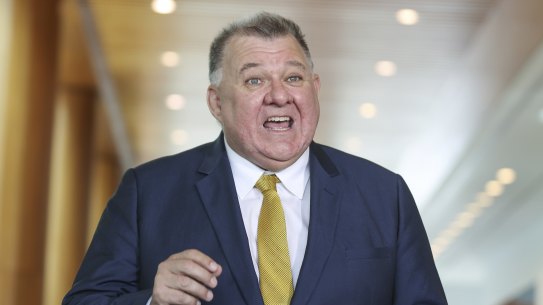 The Member for Hughes during a doorstop interview in Parliament.