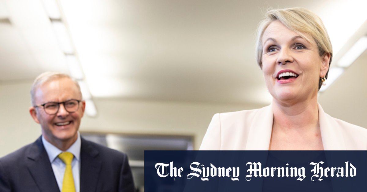 CBD Sydney: Kevin Rudd, Tanya Plibersek to star in Sydney battleground seat - Vimarsana News
