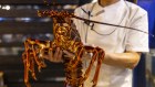 Within a month, the lobster trade might be the last remaining irritant.