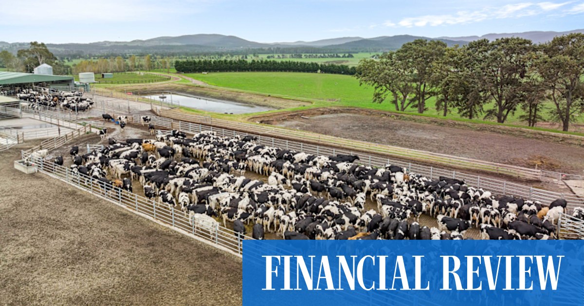 Rural property: Kings Transport boss Mike Shannon puts Gippsland dairy farm Pine Hill up for sale - Vimarsana News