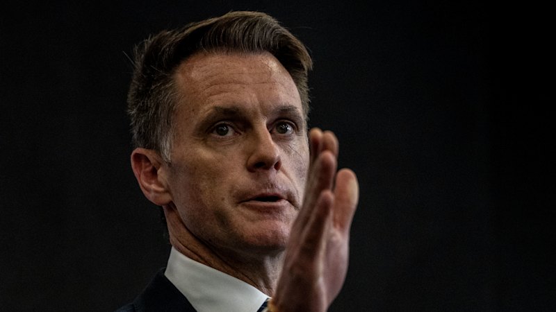 Gun control and protest laws pass after marathon Christmas Eve debate