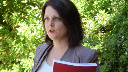 State parliamentary leader of the Greens WA Alison Xamon.