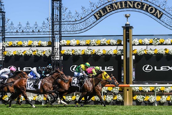 Knight’s Choice beats Warp Speed to the finish post in the Melbourne Cup.