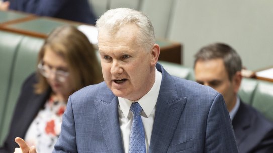 Workplace Relations Minister Tony Burke and his state counterparts will discuss a report on banning engineered stone later this year.