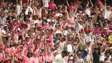 Cricket crowds will return this summer with the virtual elimination of community transmission. 