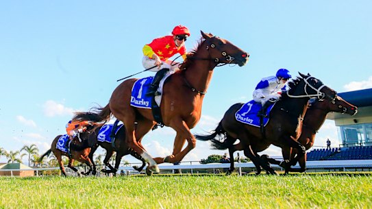 Tiger Of Malay sticks to the rails to win the Up And Coming Stakes.