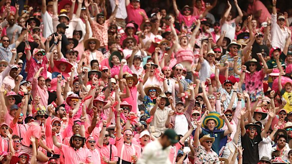 Cricket crowds will return this summer with the virtual elimination of community transmission. 