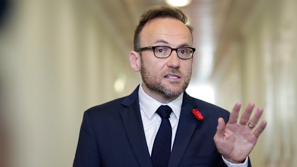 Greens leader Adam Bandt.