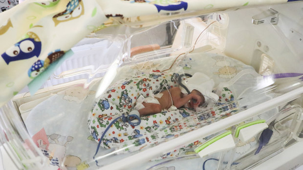 One of the sextuplets rests in a humidicrib at the University Hospital in Krakov, Poland.