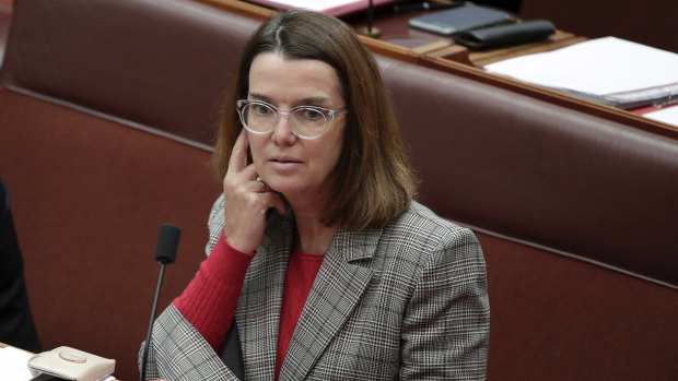 Social Services Minister Anne Ruston was grilled in the Senate on Wednesday.