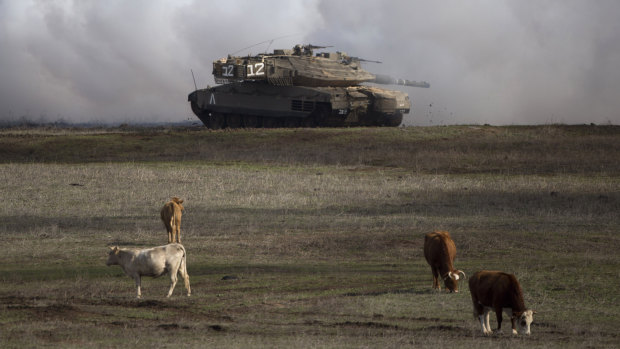 An Israeli Merkava Mark 4 tank drives close to livestock during an exercise in the Israeli-controlled Golan Heights, near the border with Syria.