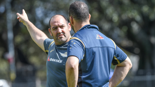 Old sparring partners: Mario Ledesma with Michael Cheika when the Argentine was the Wallabies' forwards coach.
