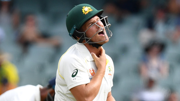 Aaron Finch feels the pain after being hit in the throat by the ball.