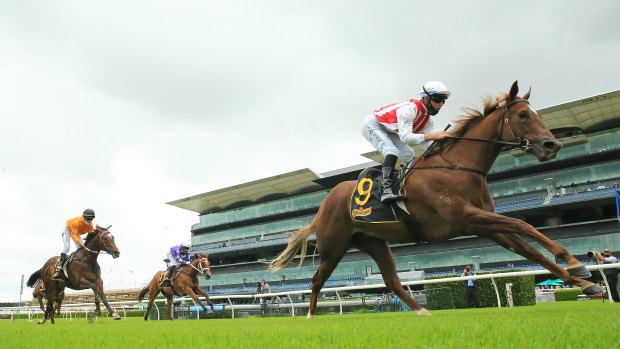 Racing is back on the Kensington track at Randwick on Wednesday.