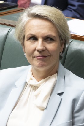 Federal Environment Minister Tanya Plibersek.