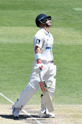 David Warner endured mixed fortunes during his return to Sheffield Shield action.