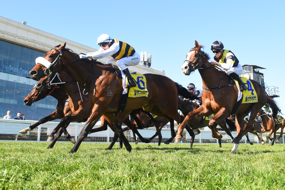 Harry Coffey wins on board Belthil on Caulfield Guineas day.