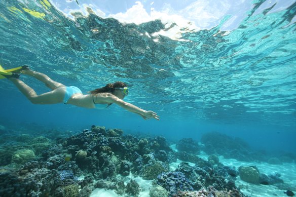 Snorkeling in the lagoon.