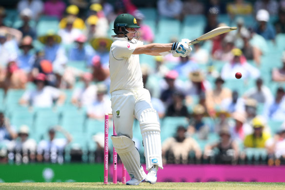 Steve Smith in action on day one of the third Test match against New Zealand at the SCG. 
