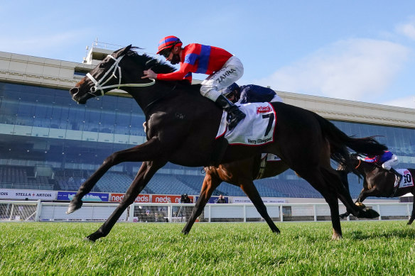 Caulfield Cup winner Verry Elleegant looks like the one to beat at Flemington on Tuesday.