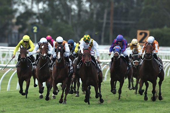 Racing resumes at Hawkesbury on Wednesday. 