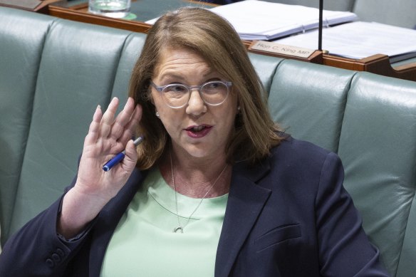 Transport Minister Catherine King during question time on Wednesday.