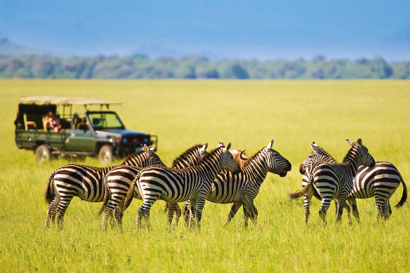 Zebra crossing, South Africa.