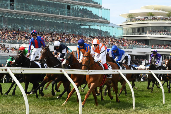 Vow and Declare takes victory in last year's Melbourne Cup.