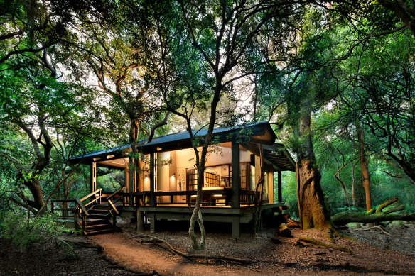 A guest suite at Phinda Forest Lodge.